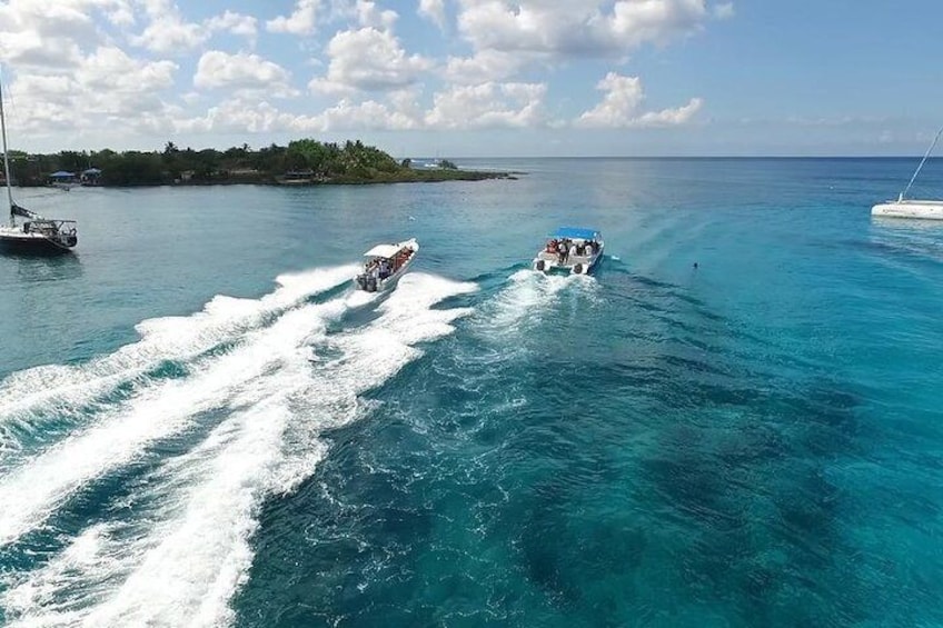 Saona Island Excursion by Catamaran and Speedboat