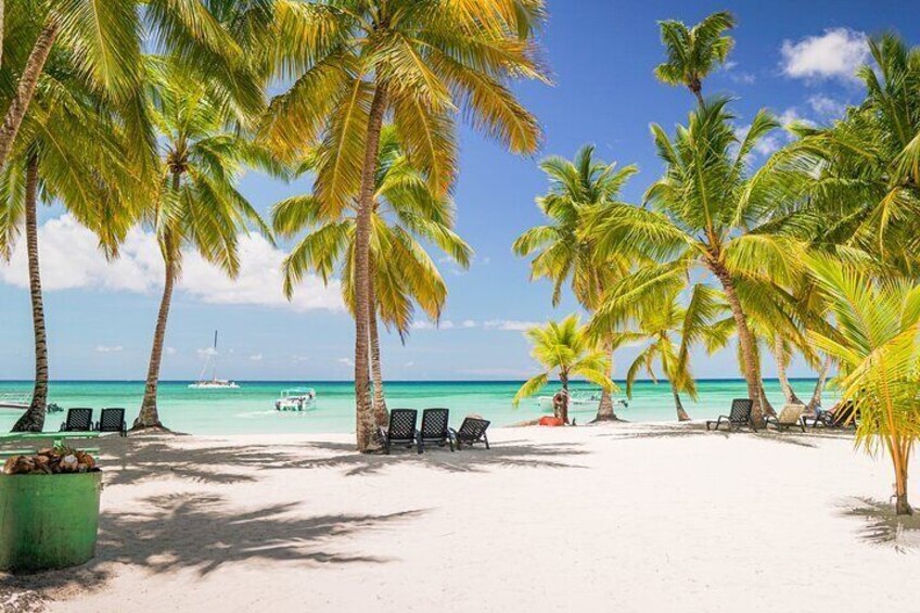 Saona Island Excursion from Bayahibe