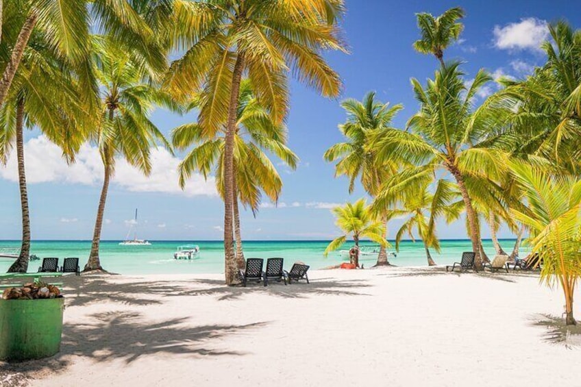 Saona Island Excursion from Bayahibe