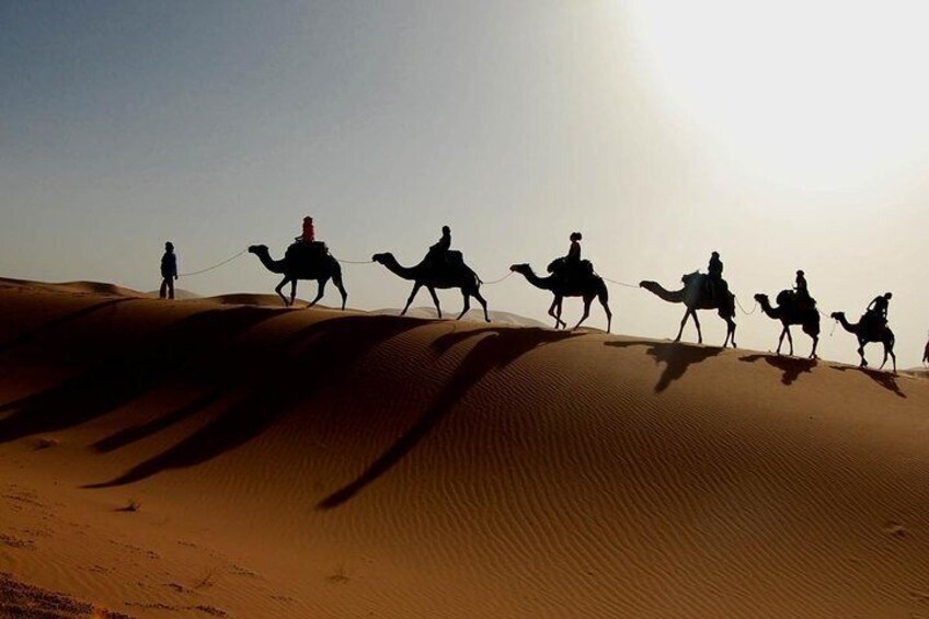 les dunes de merzouga