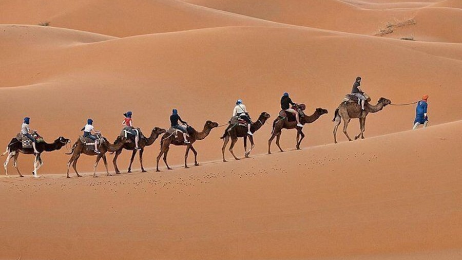 2-Days Desert Trip from Fes