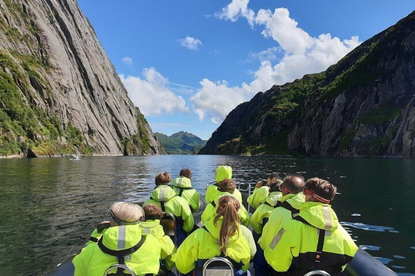 Trollfjord and Sea Eagle Safari Tour from Svolaer