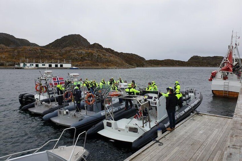 Trollfjord and Sea Eagle Safari Tour from Svolaer