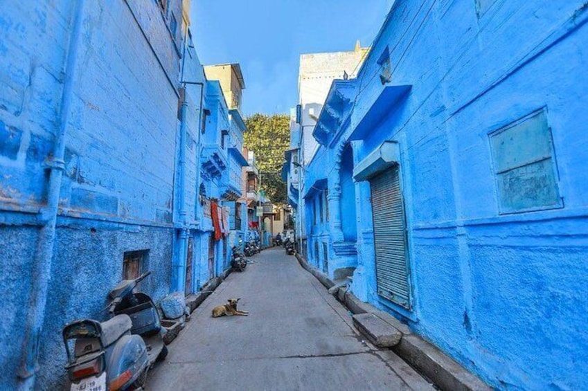 Jodhpur Blue City Tour