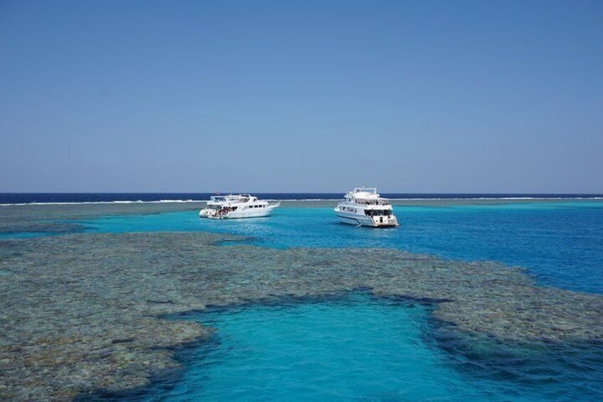 Swim With Dolphin in Satayeh Reef Snorkeling Sea Trip - Marsa Alam