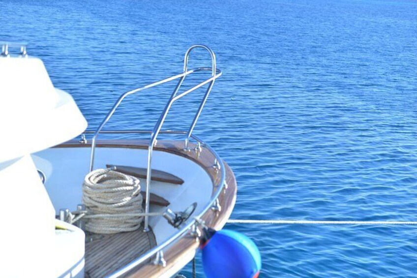 Full Day Dolphin House Satayeh Reef Snorkeling Sea Trip - Marsa Alam