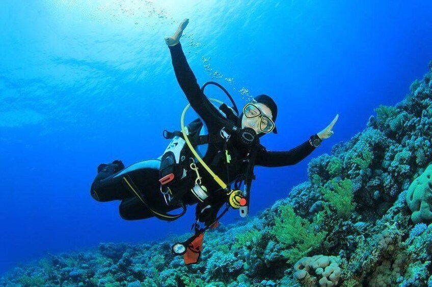 Happy Diver