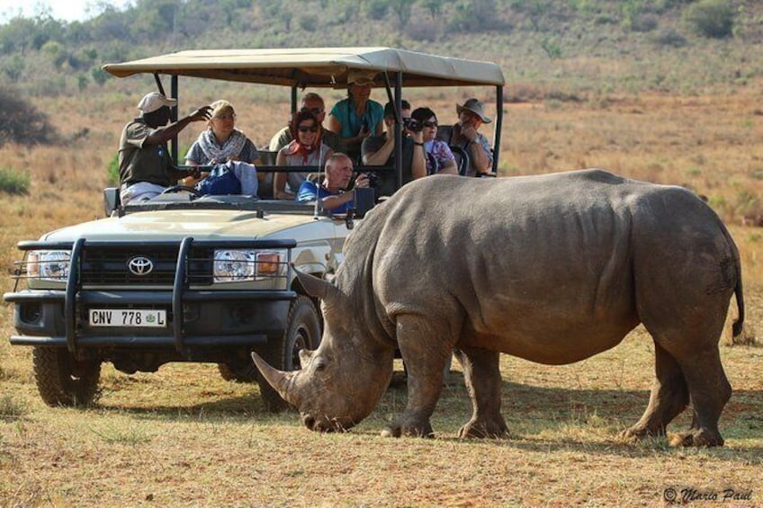 Show item 1 of 11. Photographic Day Trip into the Kruger National Park