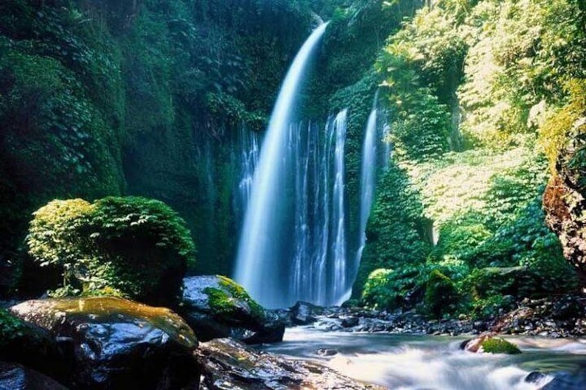Best Sendang Gile and Tiu Kelep Waterfalls Tour