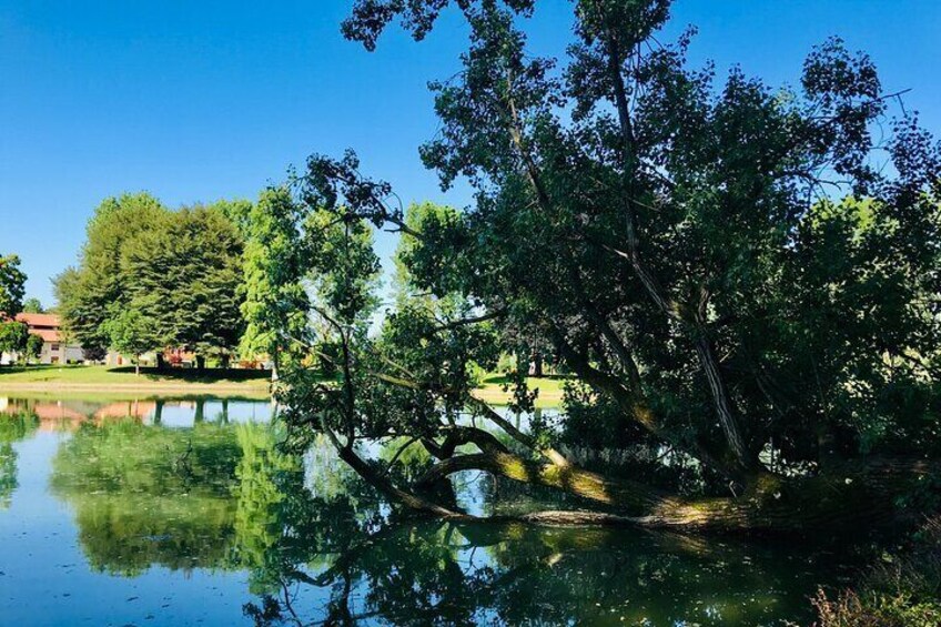 Villa Contarini green park
