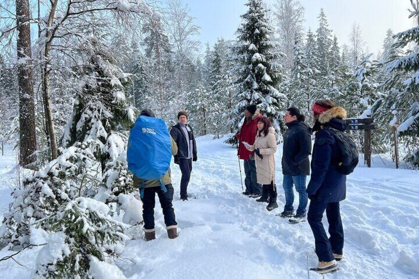 Winter Wonderland Hike in a National Park 