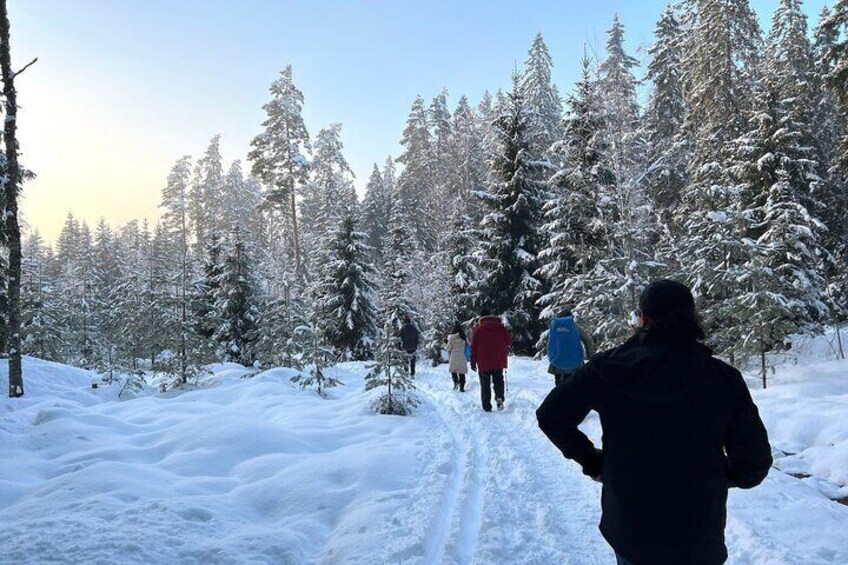 Winter Wonderland Hike in a National Park 