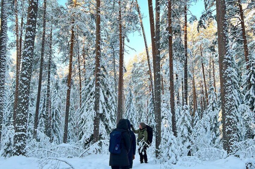 Winter Wonderland Hike in a National Park 