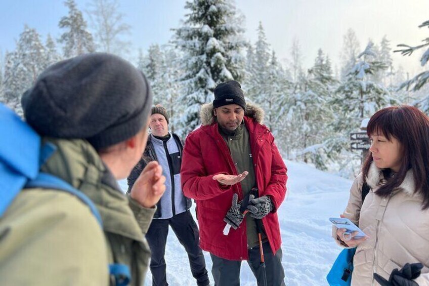 Winter Wonderland Hike in a National Park 