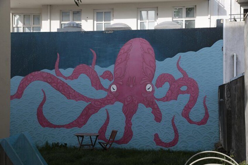 Walking tour of Reykjavik city