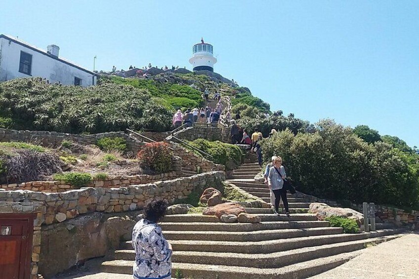 Climbing to the lighthouse