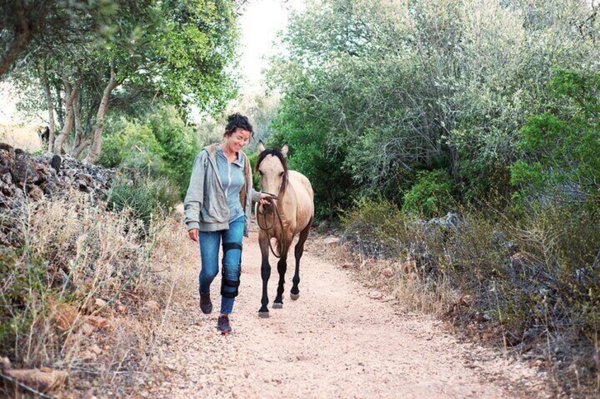 Horse Sanctuary: A walk with Rescued Horses and Foals