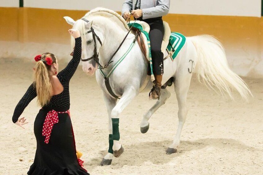 Horse and Flamenco Show in Torremolinos with Dinner