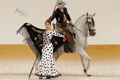 Spettacolo di cavalli e flamenco con cena a Malaga