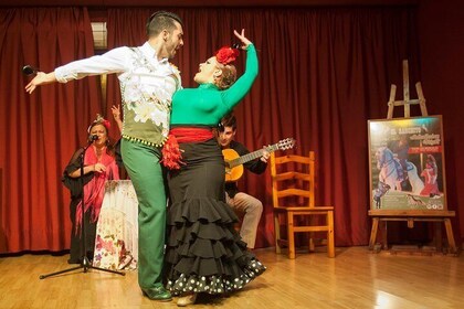 Espectaculo de caballos y flamenco con cena en Malaga