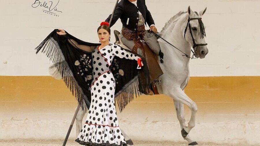 Horse and Flamenco Show in Malaga