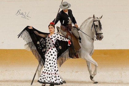 Paard en flamenco show in Málaga