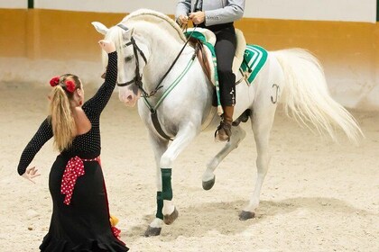 Horse and Flamenco Show in Torremolinos