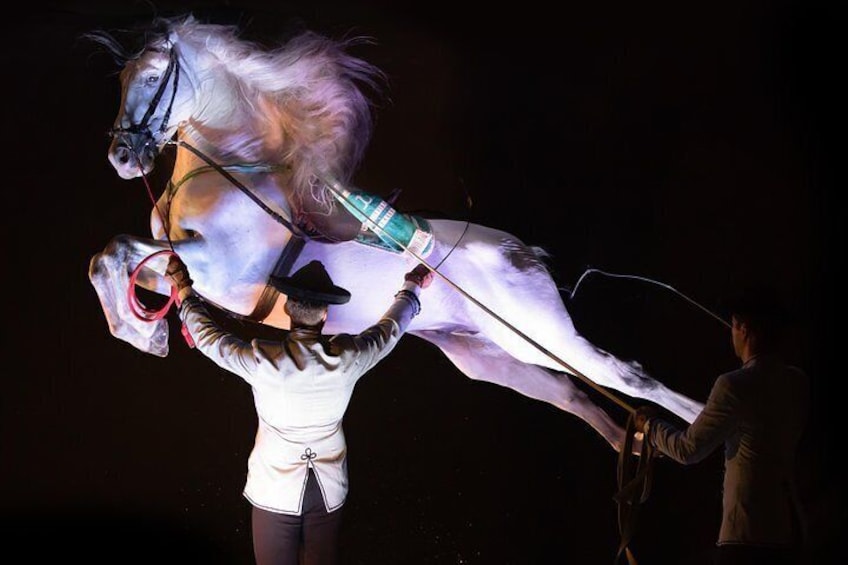 Horse and Flamenco Show in Torremolinos