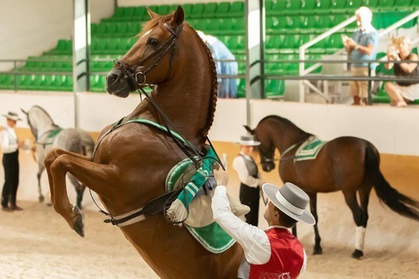 Horse and Flamenco Show in Torremolinos