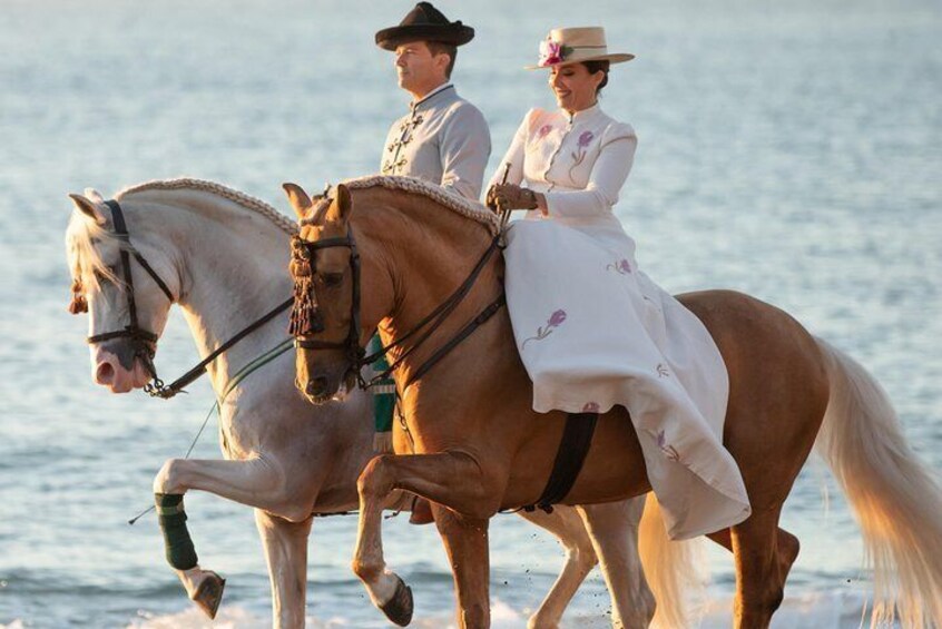 Horse and Flamenco Show in Torremolinos