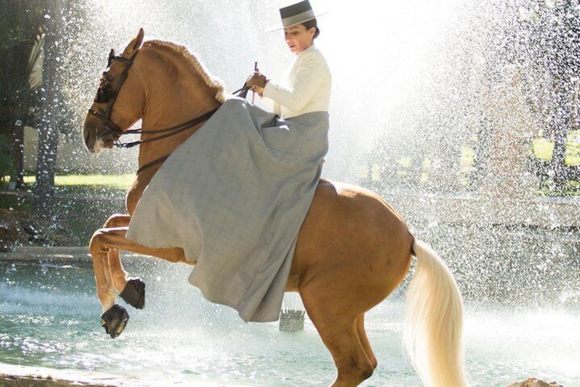 Horse and Flamenco Show in Torremolinos