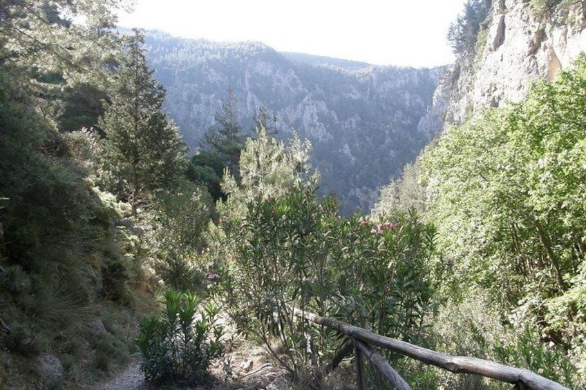 Agia Irini Gorge