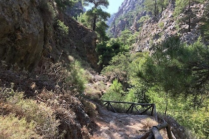 Vandretur Agia Irini Gorge heldags privat tur