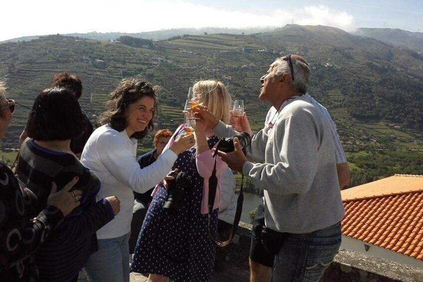 Douro Valley private tours - Port wine tastings in Douro Valley
