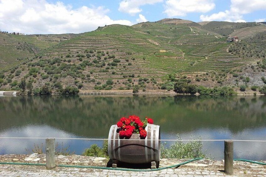 Douro Tour Valley - Views from one of the wineries