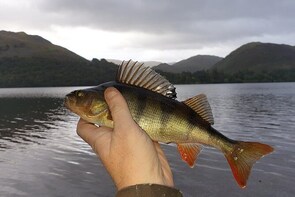Ullswater Guided Boat Fishing Experience