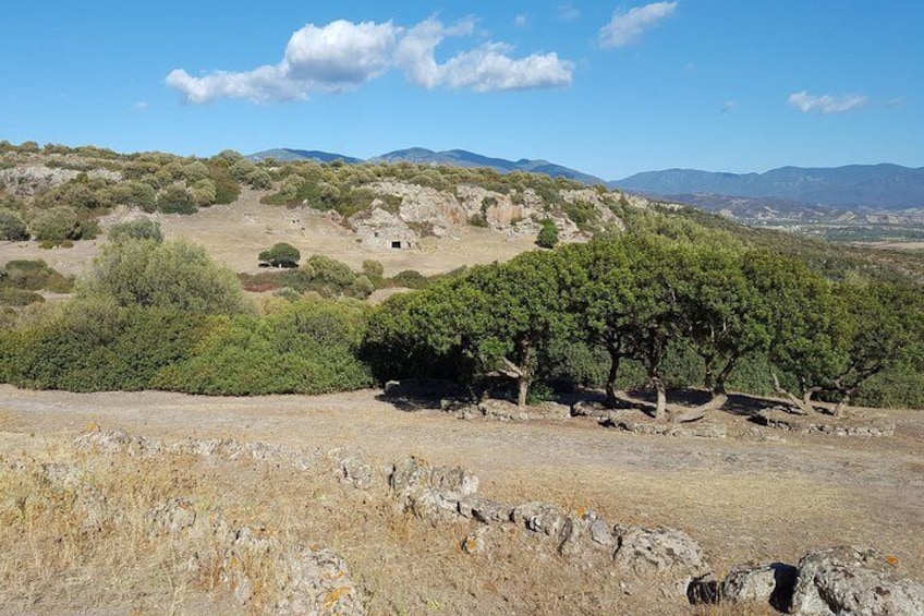 Cagliari: Archaeological Site of Montessu Guided Visit from Chia