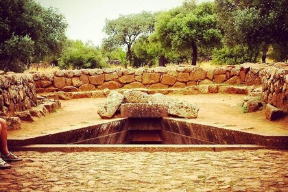 Cagliari: Well Temple and Cabras Museum