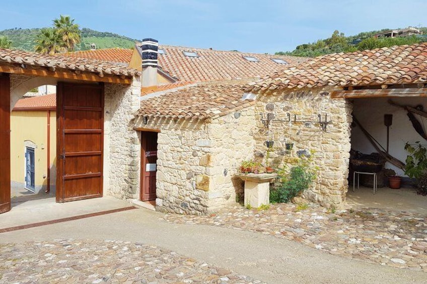 Cagliari: Well Temple and Cabras Museum