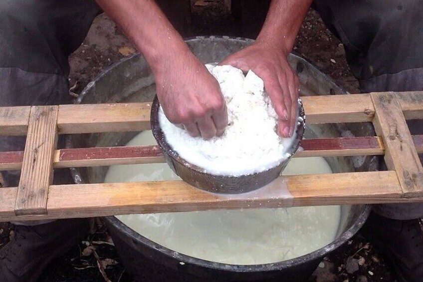 Traditional cheese making experience