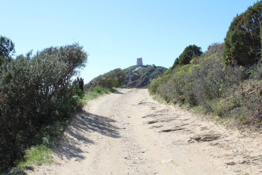 Cagliari: Hiking at the Ancient Roman Road from Chia