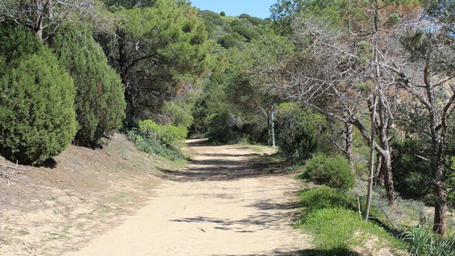 Ancient Roman Road