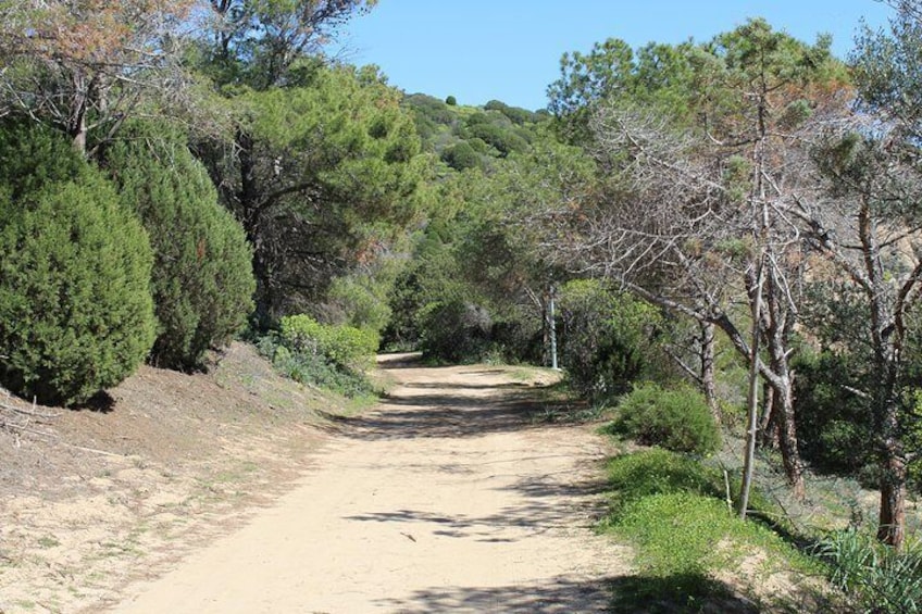 Ancient Roman Road