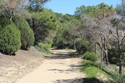 Cagliari: Hiking at the Ancient Roman Road from Chia