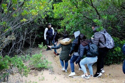 Cagliari: Nuraghe privérondleiding door Sardinië vanuit Chia