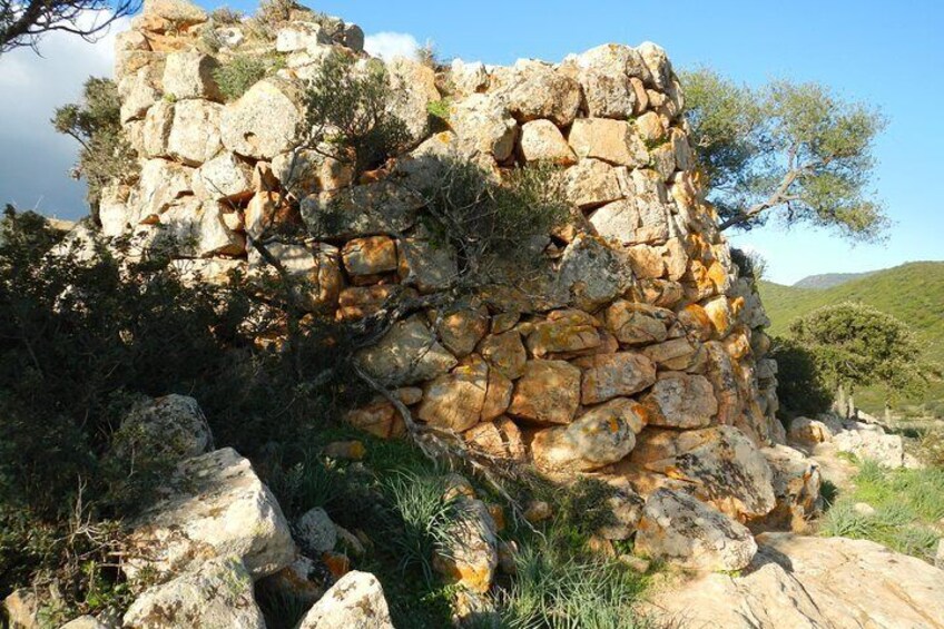 Nuraghe Tour