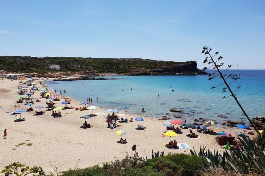 Cagliari: San Pietro Island and Carloforte Tour from Chia