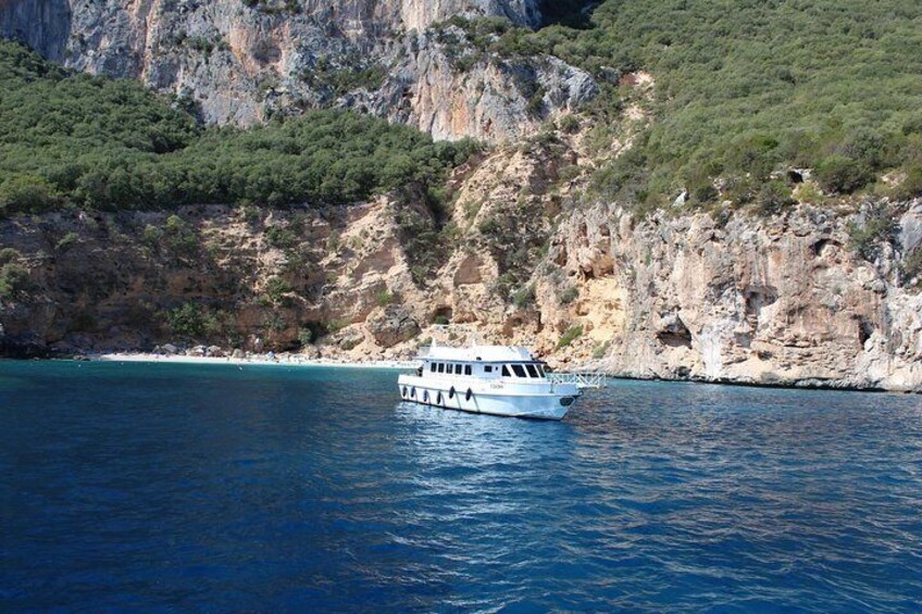 Mini Cruise Hop-on Hop-off