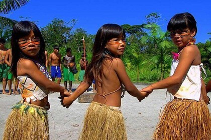 Santos Shore Excursion: Full Day Rain Forest and Indian Reservation Experie...