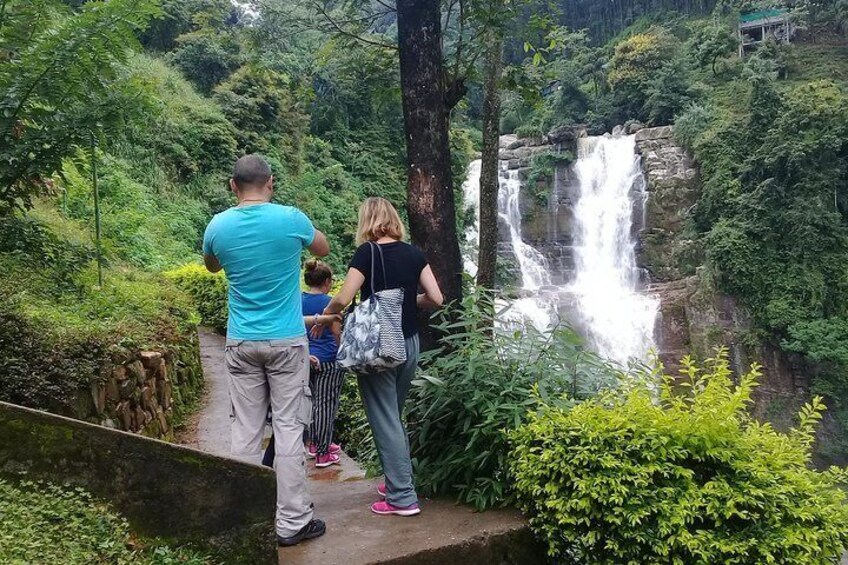 Private day tour kandy to nuwara eliya tea plantation